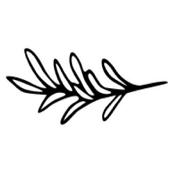 taiga_beauty's profile picture. Inspired Skincare from the Boreal Forest