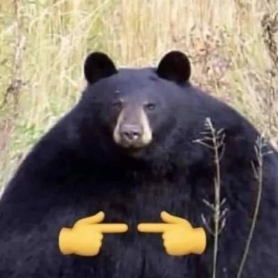 TheHarambear Profile Picture