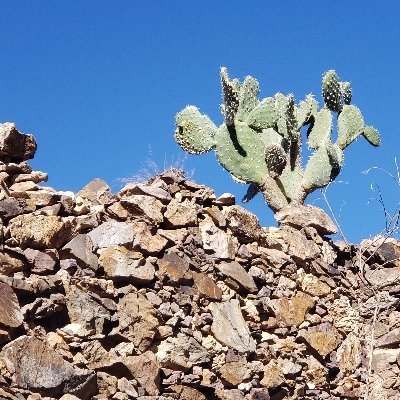 Flaquito3003's profile picture. LIVE DREAM TO DREAM