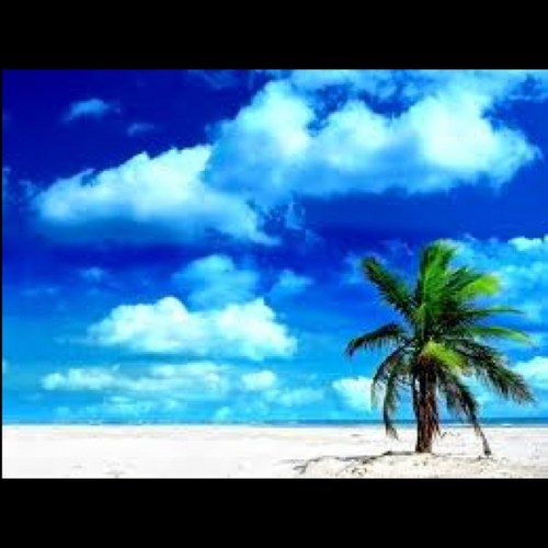 TeensLiveLife44's profile picture. I tweet whatever i want. If you dont like it? Well thats your problem now isnt it ;) #TeamFollowBack 