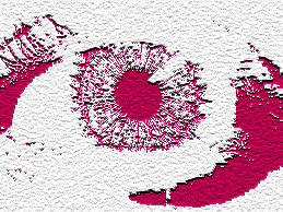 tips4future's profile picture. Looking ahead!!!