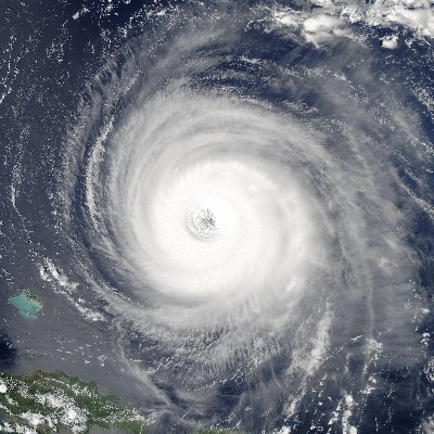 Hurricane enthusiast. Travelers. Bowler. Swimmer.