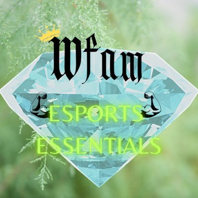 •MultiPlatform eSports Team 💎🤙🏻 “The Next Driving Force In eSports!”👁 •Owner 🤘🏻COO | @ArthurS_YT 😎 | Stay Humble you will succeed! 💎 #WFam