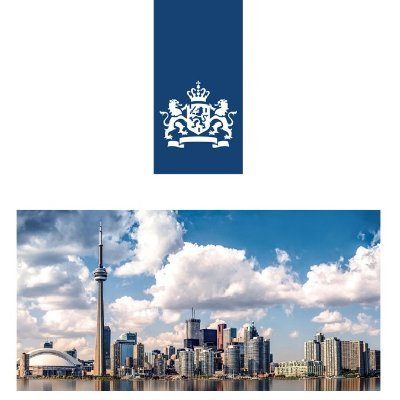 NLinToronto Profile Picture