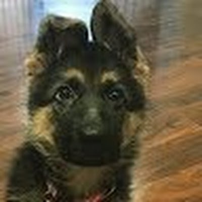 ArrottaKathlee1's profile picture. 