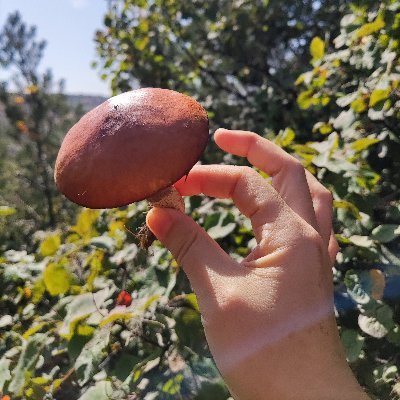 xiaojian970205's profile picture. 喜欢旅游