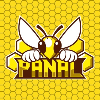 PanalSmashProd's profile picture. Productora emergente de videojuegos en la región del BioBio Actualmente organizamos torneos de Super Smash Bros Ultimate #ENJAMBRE2022