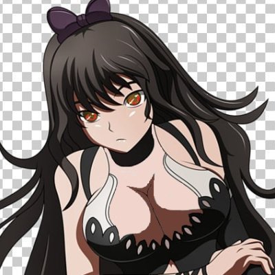 Blake Belladonna (Other RWBY Girls & Qrow)さんのプロフィール画像
