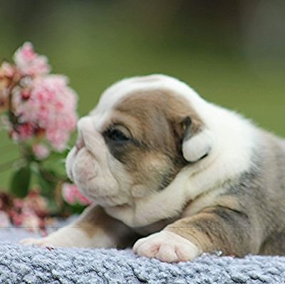 dmayes236's profile picture. 