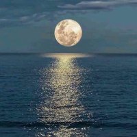 ابو تركي (@kznp3) Twitter profile photo