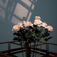 aaminah khatib (@_axminah_) 's Twitter Profile Photo aaminah khatib (@_axminah_) 's Twitter Profile Photo