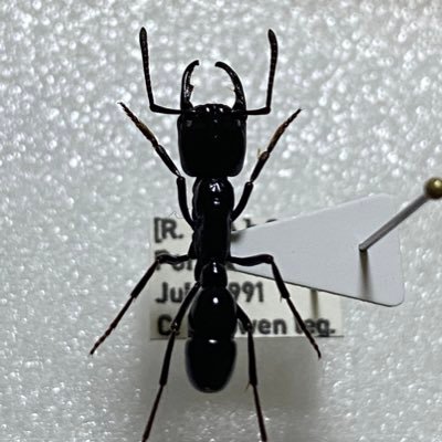 しんえん (@kcdcf453145) / Posts / X