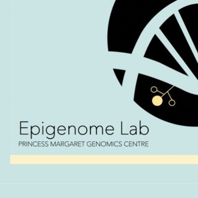 cancer epigenomics | 3d genome architecture | histone code