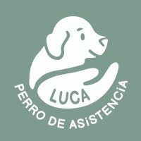 Luca Perro de Asistencia(@Lucaperroasist) 's Twitter Profile Photo