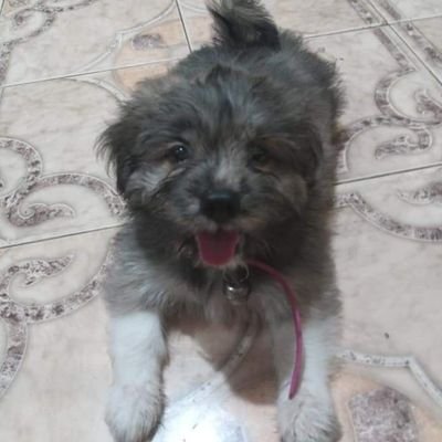 DianaSa35164341's profile picture. Shy person