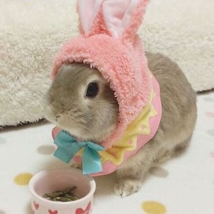 무스さんのプロフィール画像