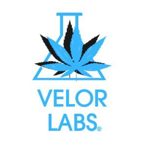 velorlabsil Profile Picture