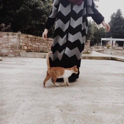 seymaalfecr's profile picture. fsmvu, hadis