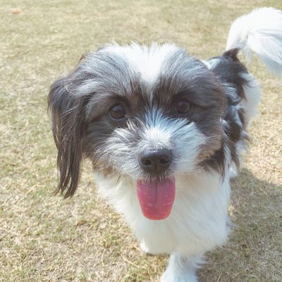 bostinwang's profile picture. Maybe i am a robot..