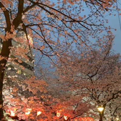 あけぼのさんのプロフィール画像