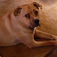 Becky_521 (@521becky) 's Twitter Profile