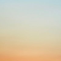 Sander (@zandooooor) 's Twitter Profile