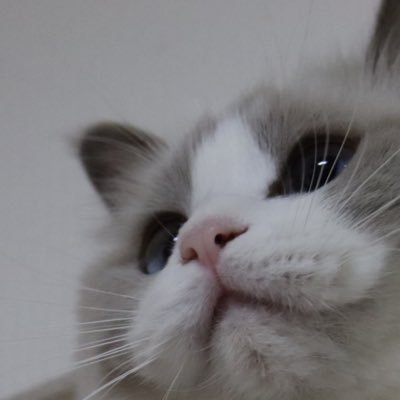 らりさんのプロフィール画像