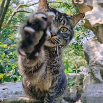 ntmddsbgdx's profile picture. 