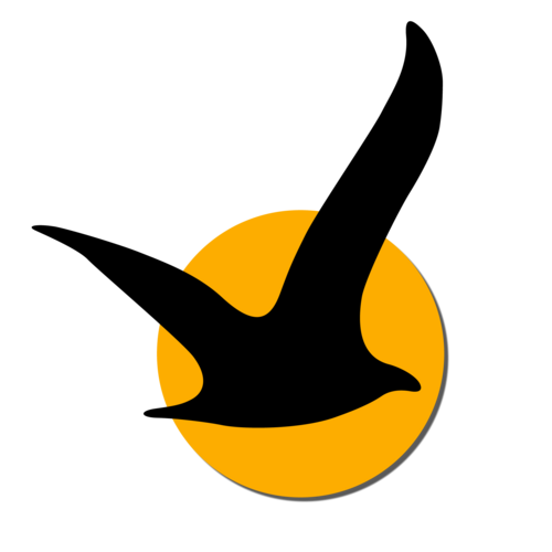 litetouchfilms's profile picture. paragliding journalist, producer of Risk and Reward DVD