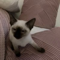 Janet Bryden (@janetbryden4) 's Twitter Profile Photo Janet Bryden (@janetbryden4) 's Twitter Profile Photo