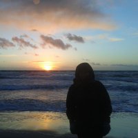 jan hemmerling (@pluck300) 's Twitter Profile