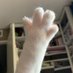 goodmeow4u (@itsmewsen) Twitter profile photo goodmeow4u (@itsmewsen) Twitter profile photo
