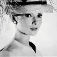 *** (@tecelligahh) Twitter profile photo