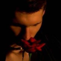 Yusuf 65 (@mercan_zihni) 's Twitter Profile