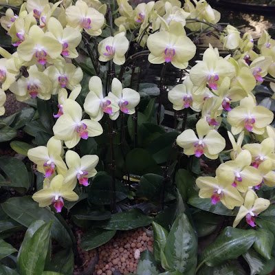 21cometoafrica's profile picture. Come to Africa to live your dream!