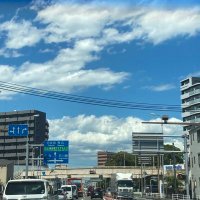 ませ (@greenteantm) 's Twitter Profile