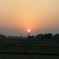 द्विवेदी (@saryoopareen) 's Twitter Profile