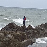 サーフサイド (@fc7534h) 's Twitter Profile