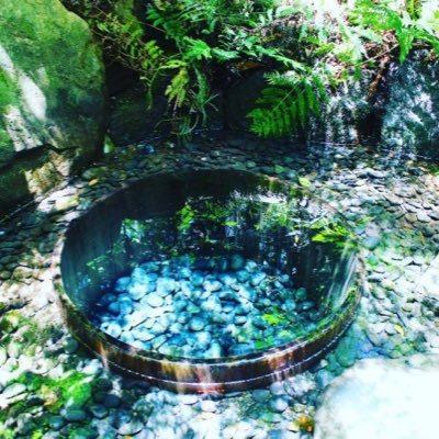 wichtigeherbst's profile picture. 福祉に生きる