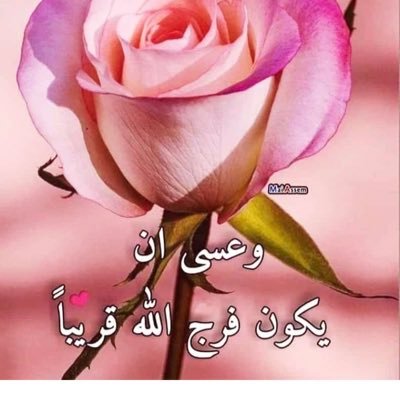 طموحه شغوفه بتصميم الازياء والملابس ويارب التوفيق 👗🌺