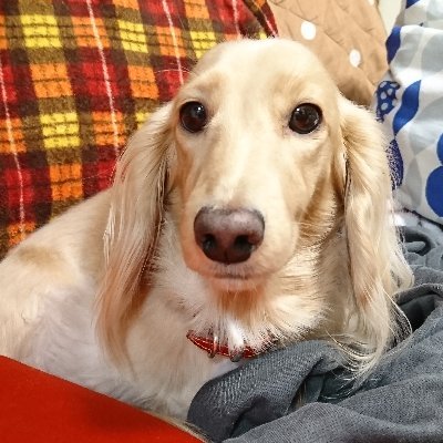 mochaさんのプロフィール画像