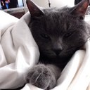 Natasha Flatt - @babyzarks - Twitter