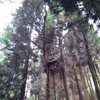 もずくもやし (@hosomemkatame) 's Twitter Profile Photo