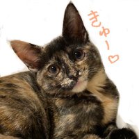 きゅーちゃん成長日記 (@cute20200424) 's Twitter Profile Photo