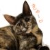 きゅーちゃん成長日記 (@cute20200424) Twitter profile photo きゅーちゃん成長日記 (@cute20200424) Twitter profile photo