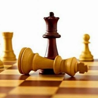 chessedu_ir's profile picture. آموزش شطرنج به صورت حضوری در تهران و آنلاین از تمام نقاط
موبایل: 09196308770