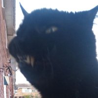 Roy Vallance (@royvallance) 's Twitter Profile Photo Roy Vallance (@royvallance) 's Twitter Profile Photo
