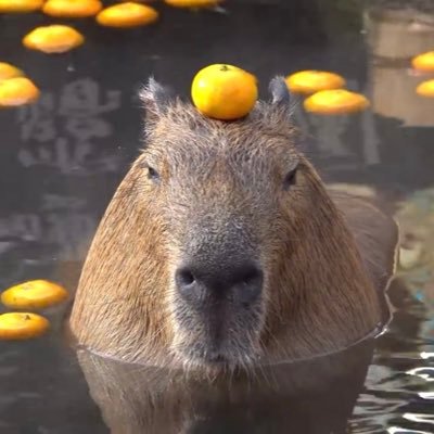 munaka011200's profile picture. @LFC  書くことない
