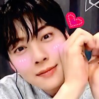 i❤️ChaEunWoo🤴🏻차은우🏰(@Xiaoying_Eng) 's Twitter Profile Photo