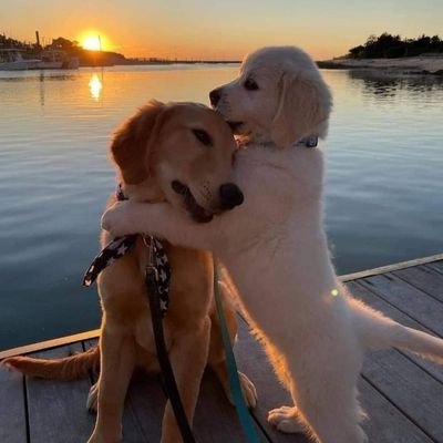 LettyChabana's profile picture. God❤